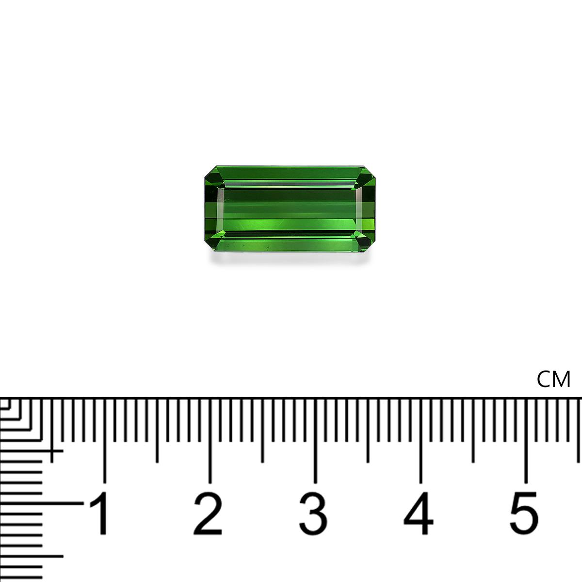 Green Tourmaline 8.54 ct